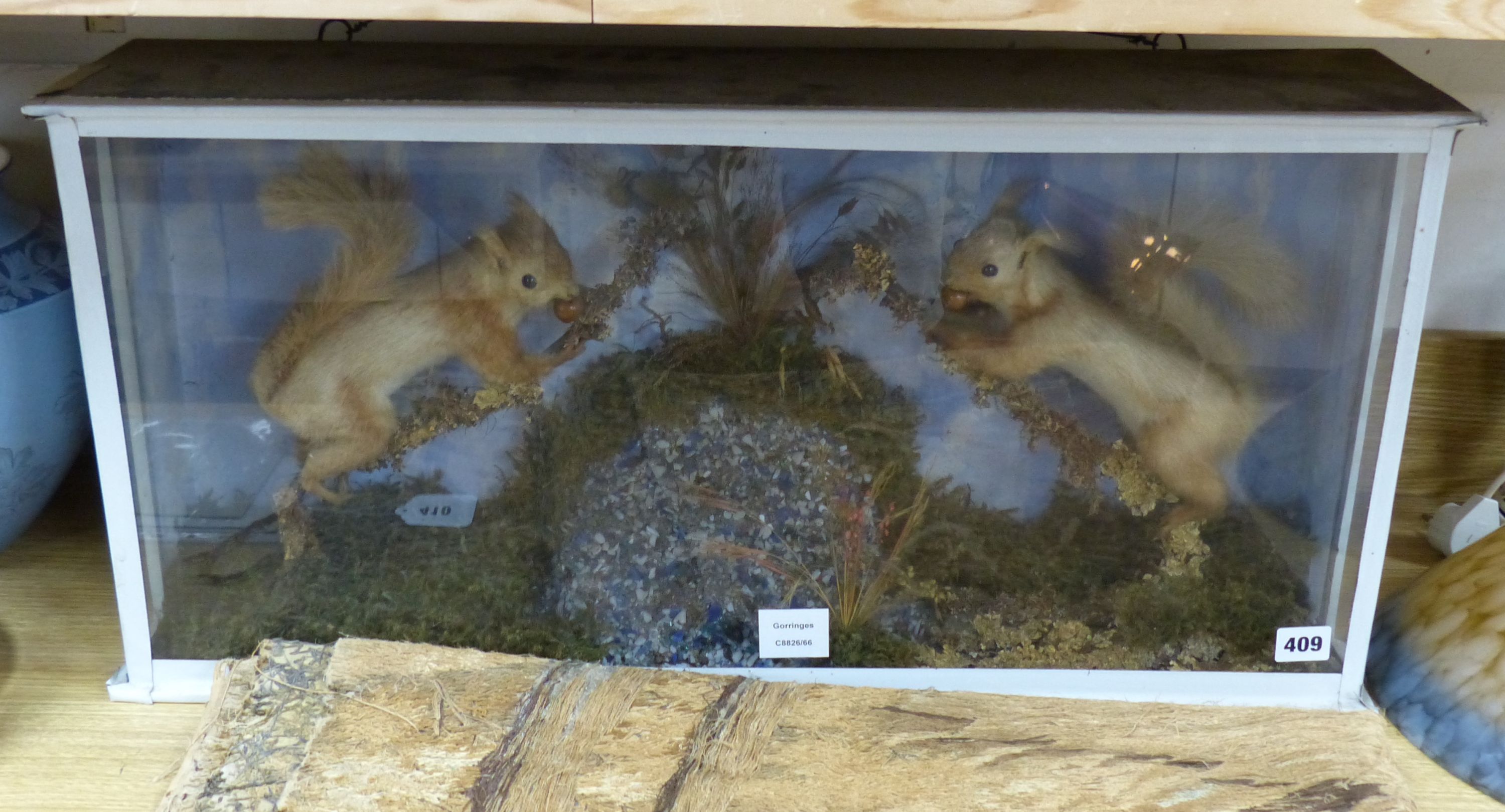 A glazed case of two taxidermic squirrels